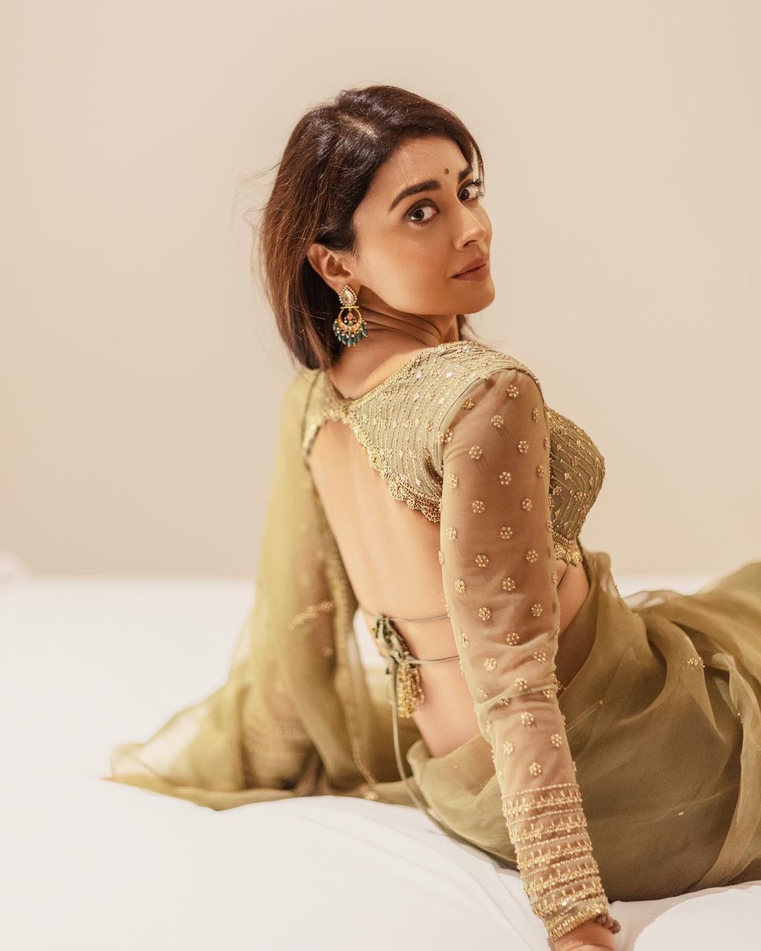 Stunning Shriya Saran Saree Looks Traditional Indian Fashion