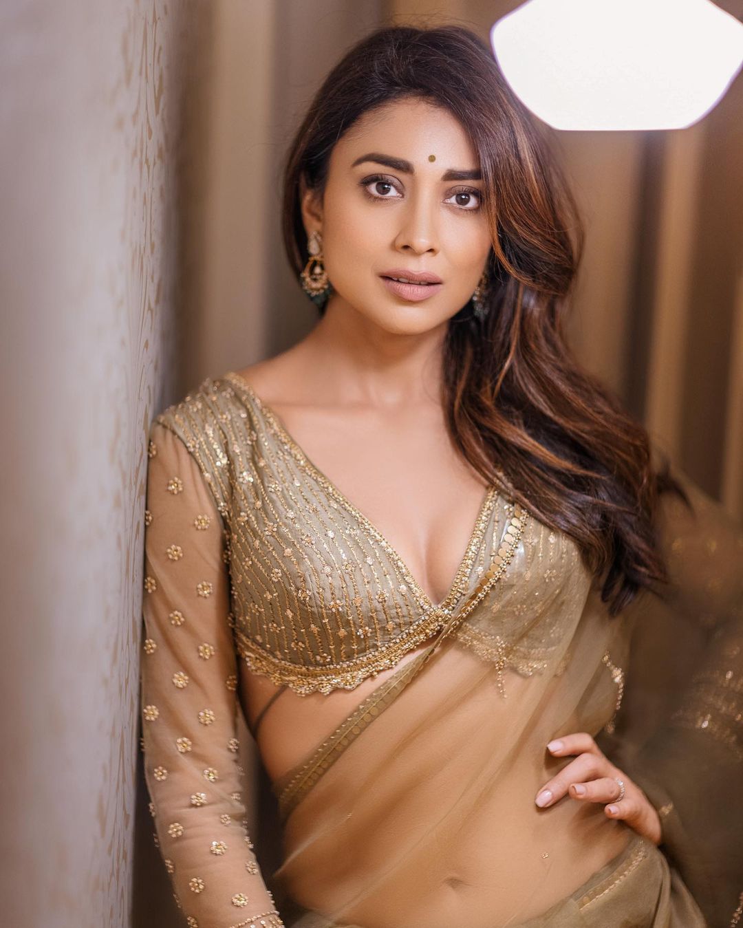 Stunning Shriya Saran Saree Looks Traditional Indian Fashion