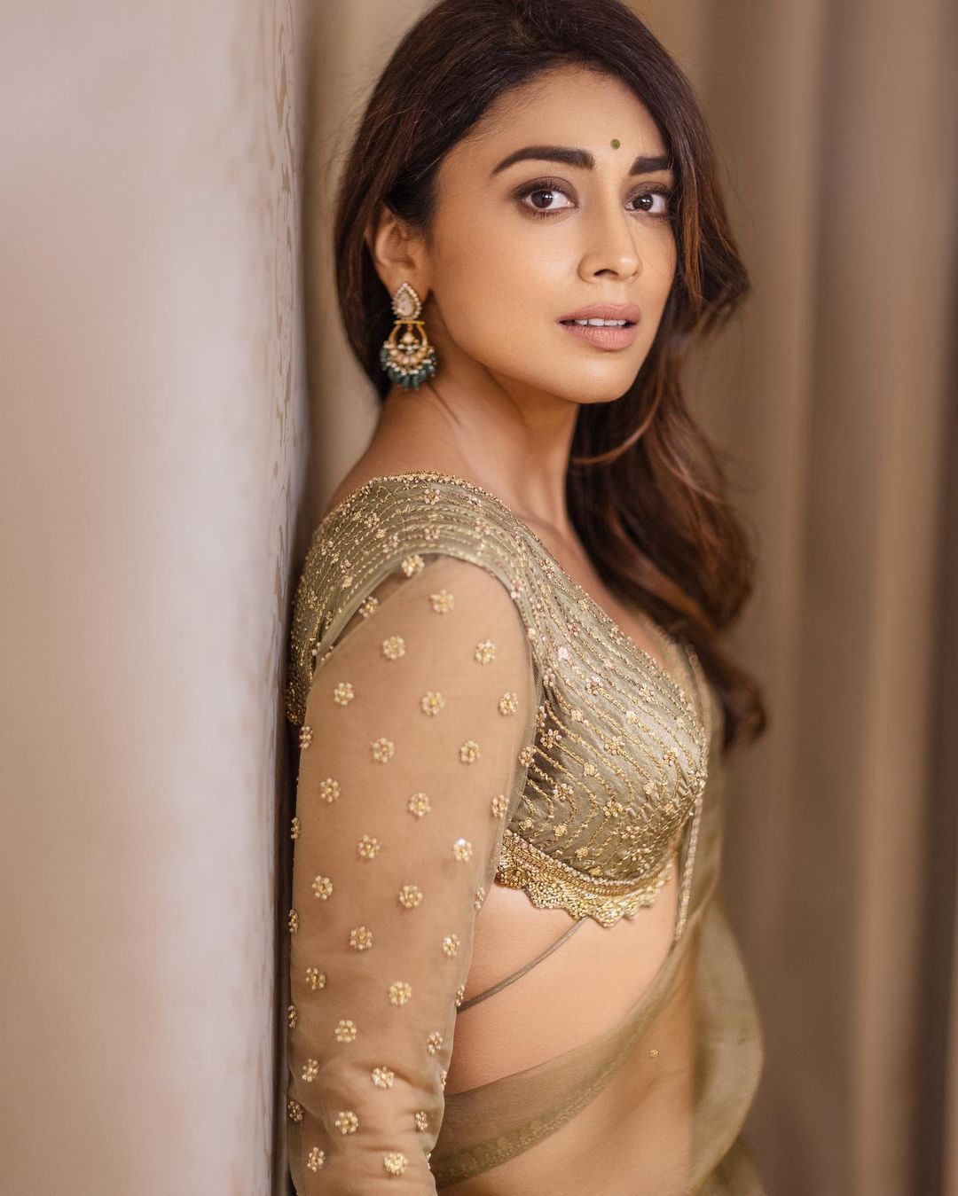Stunning Shriya Saran Saree Looks Traditional Indian Fashion