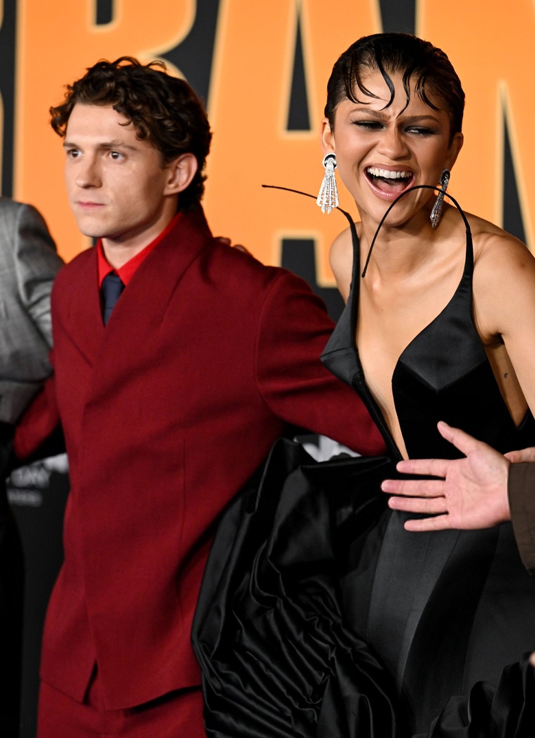Zendaya Steals the Spotlight at Hollywood Premiere Event