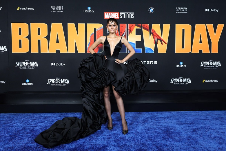 Zendaya Steals the Spotlight at Hollywood Premiere Event